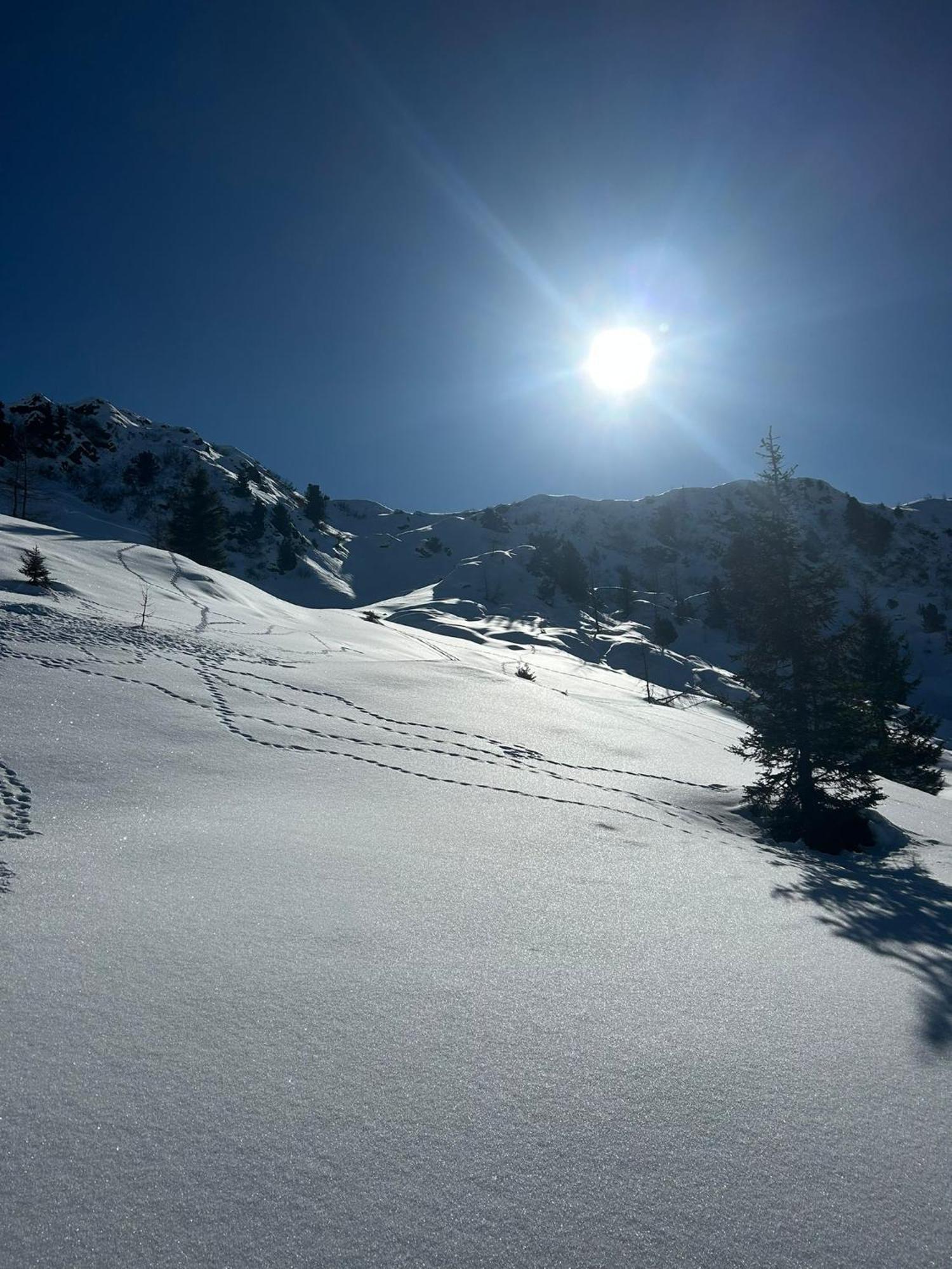Der Paternwirt Hotel Maria Luggau Bagian luar foto